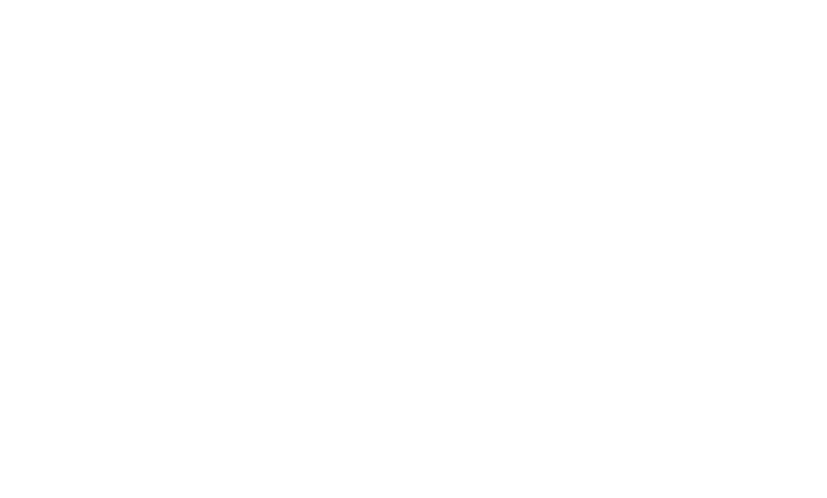San Diego brain Injury Foundation logo in white